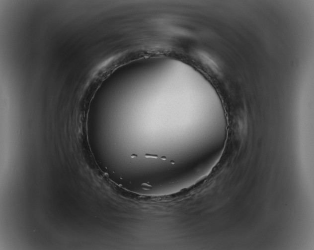 X0000084551016200703021501