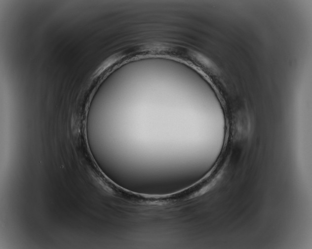 X0000084551017200703021501