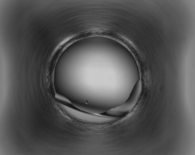 X0000084551018200703021501
