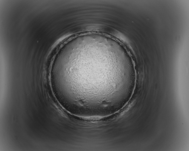 X0000084551019200703021501