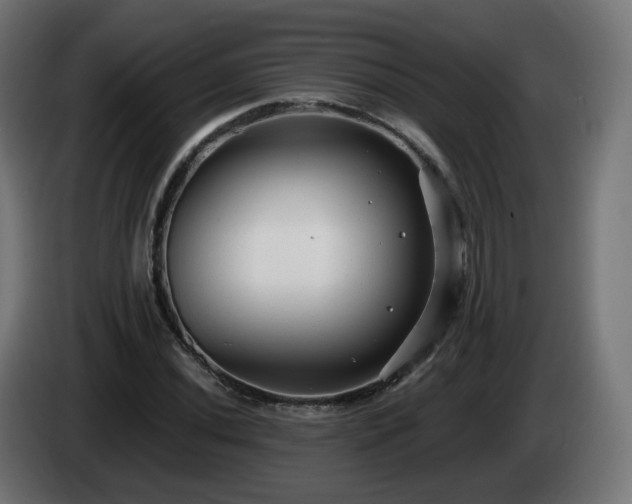 X0000084551020200703021501
