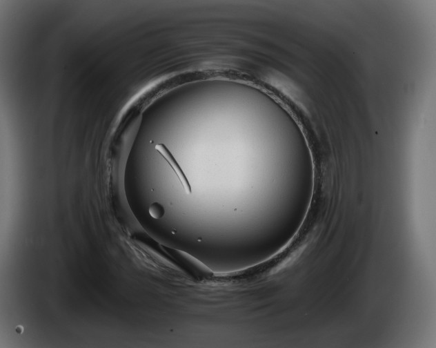 X0000084551021200703021501