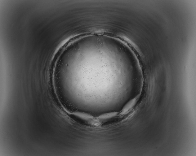 X0000084551023200703021501