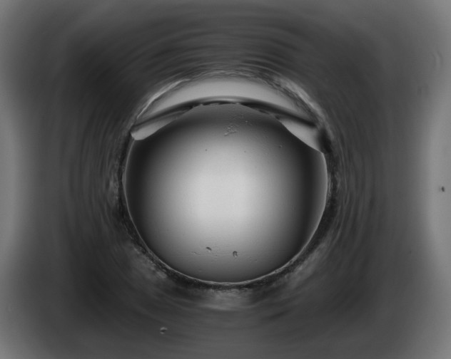 X0000084551025200703021501