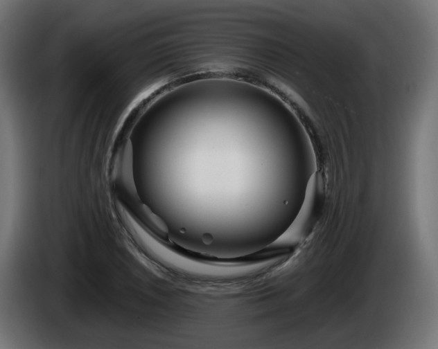 X0000084551026200703021501