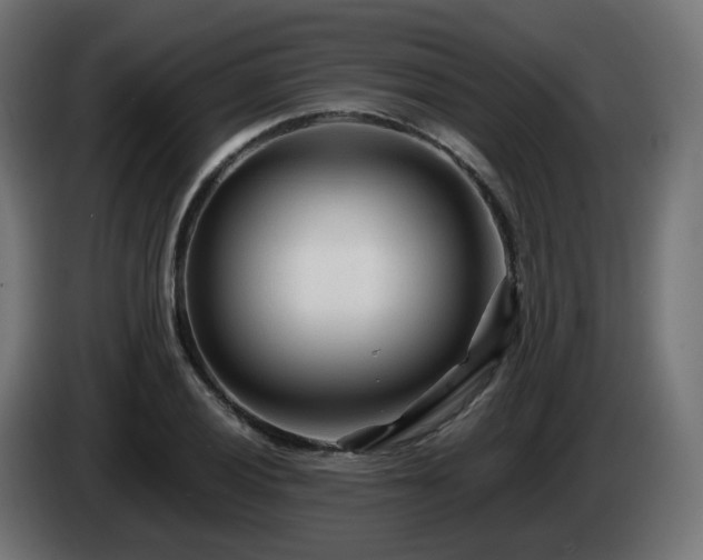 X0000084551028200703021501