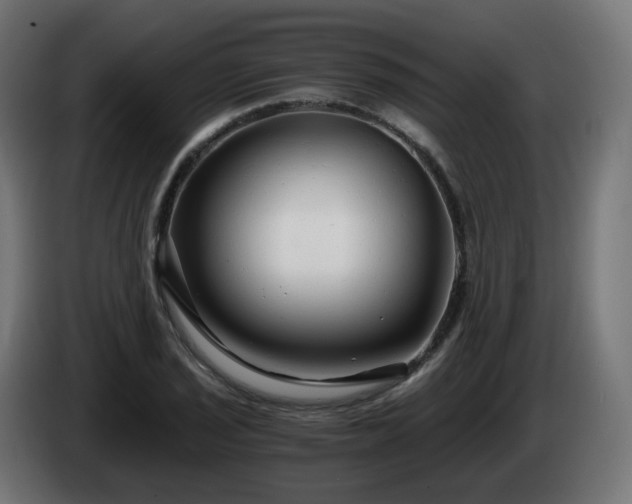 X0000084551029200703021501