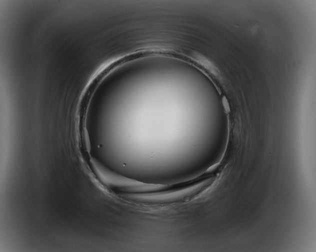 X0000084551030200703021501