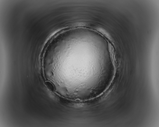 X0000084551031200703021501