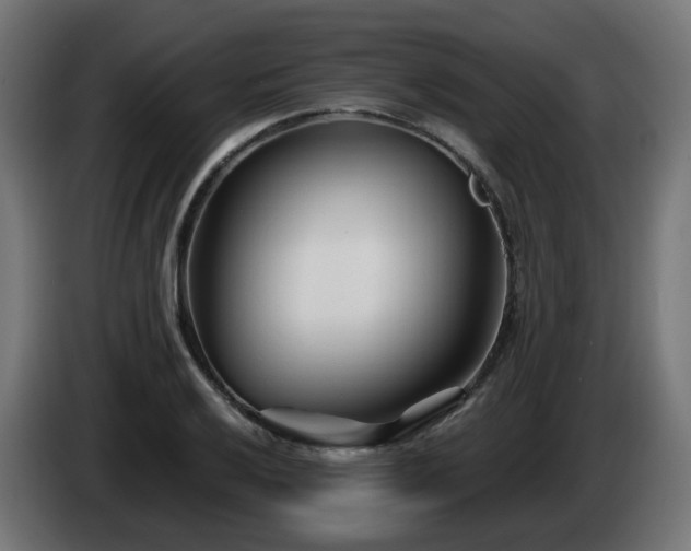 X0000084551032200703021501