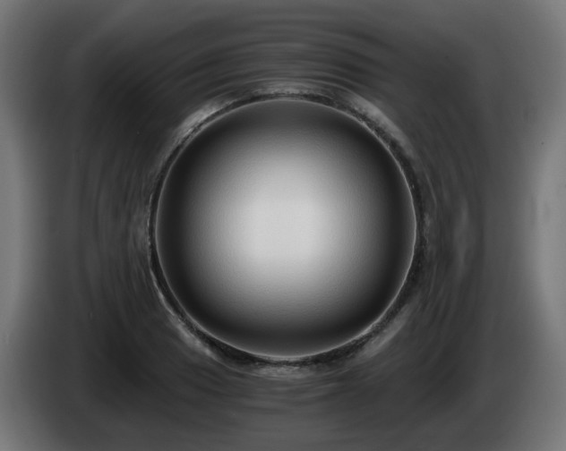 X0000084551033200703021501