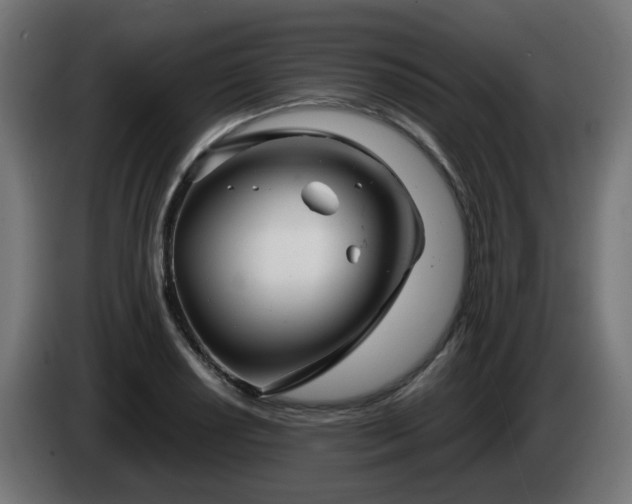 X0000084551034200703021501