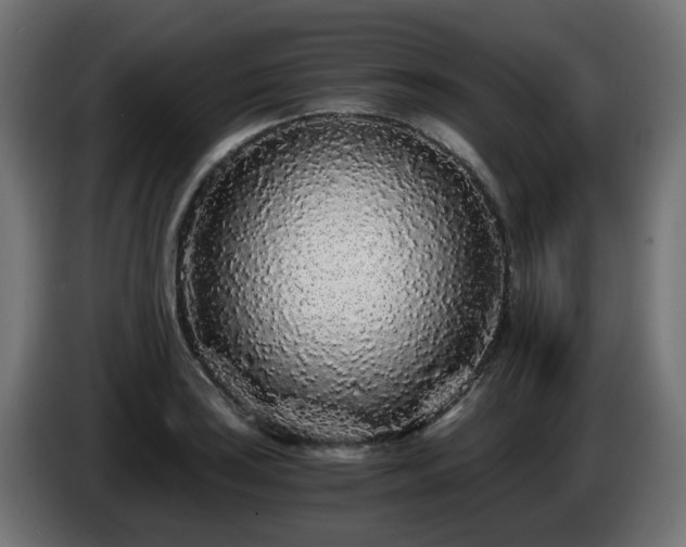 X0000084551035200703021501