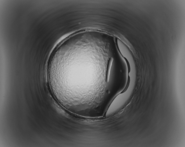 X0000084551036200703021501