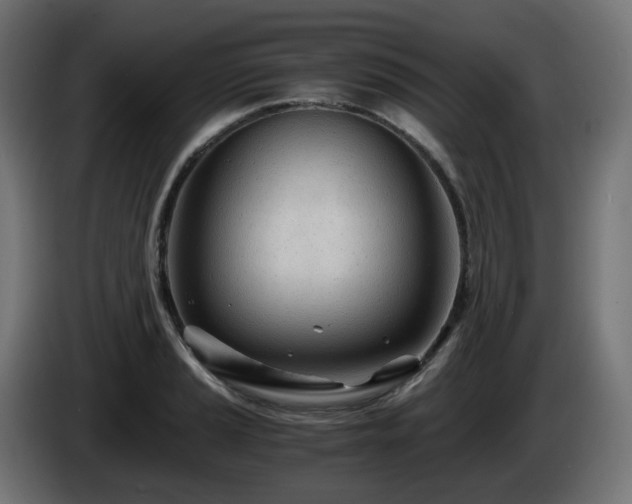 X0000084551037200703021501