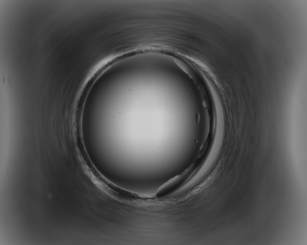 X0000084551038200703021501