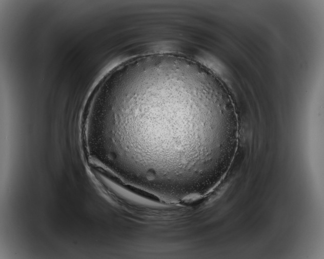 X0000084551039200703021501