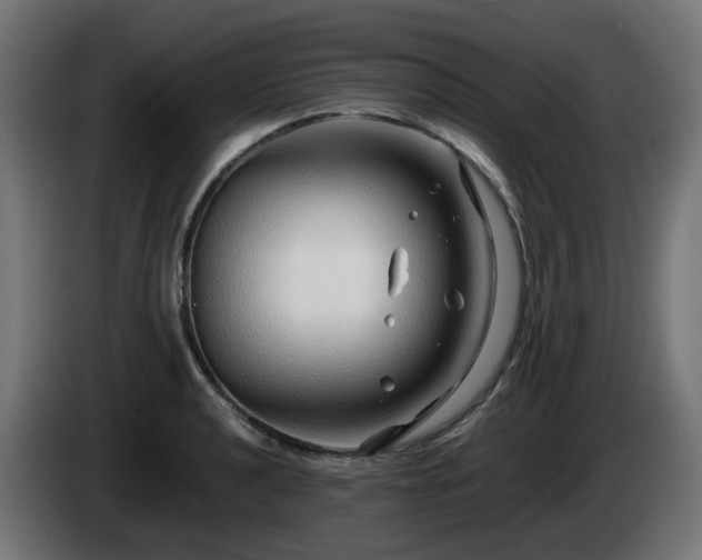 X0000084551040200703021501