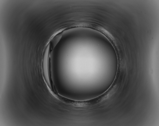 X0000084551041200703021501