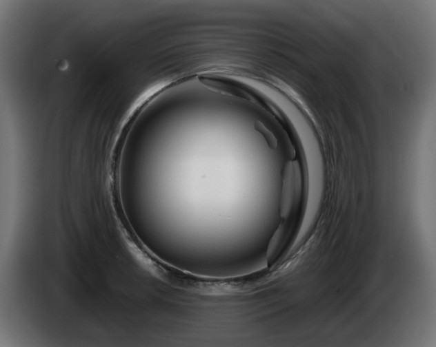 X0000084551042200703021501