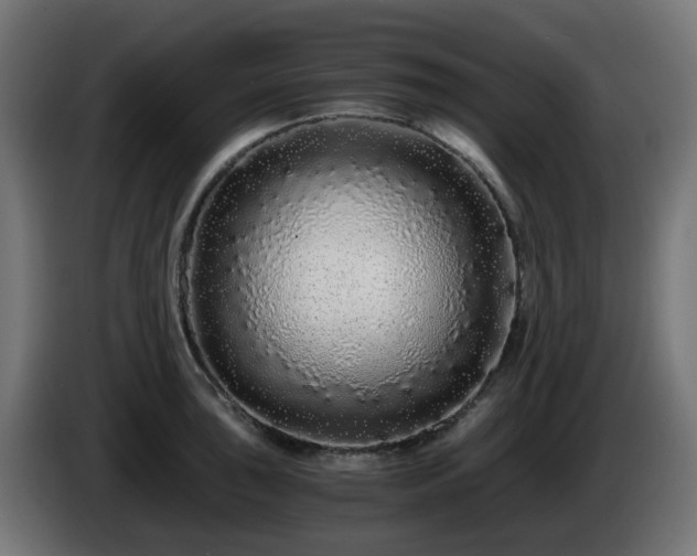 X0000084551043200703021501