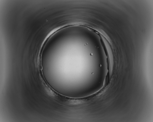 X0000084551044200703021501