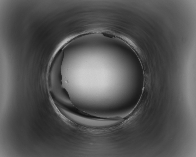 X0000084551046200703021501