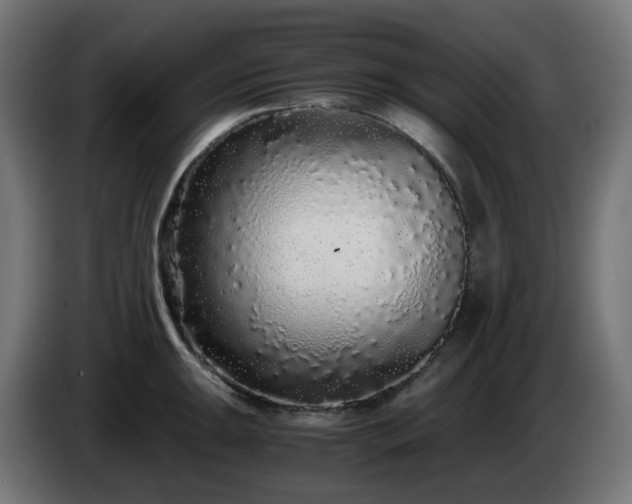 X0000084551047200703021501