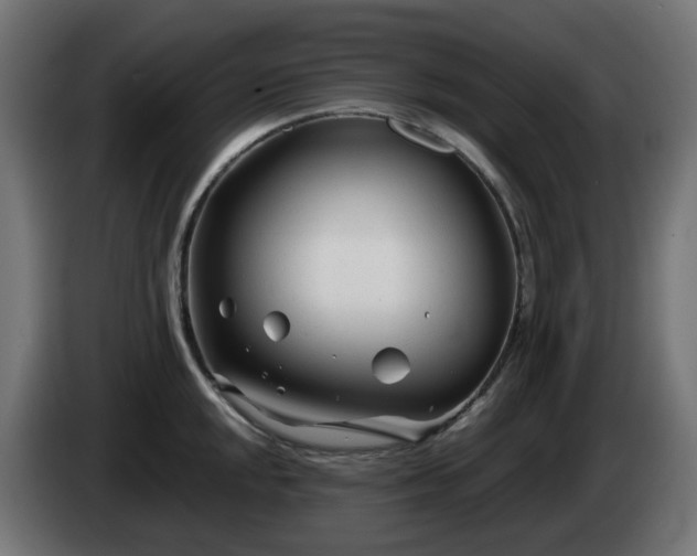 X0000084551048200703021501