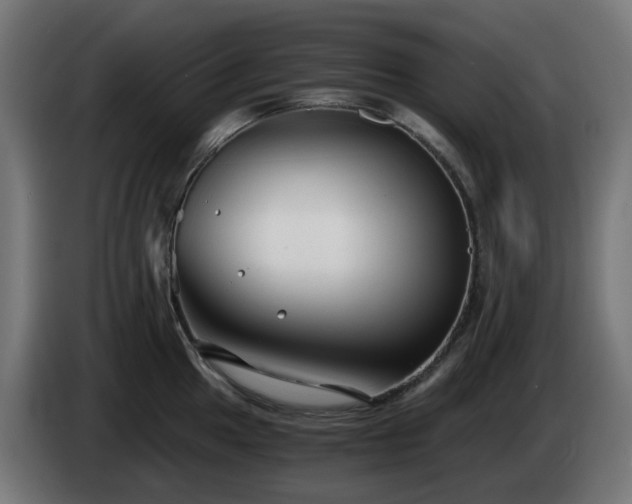 X0000084551049200703021501