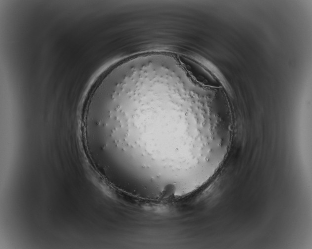 X0000084551051200703021501