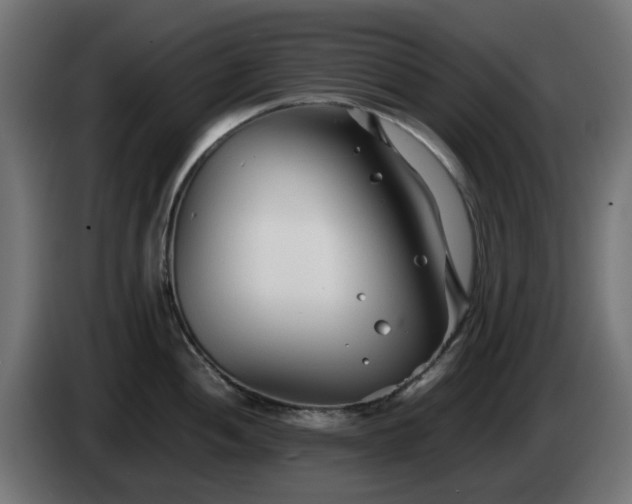 X0000084551052200703021502