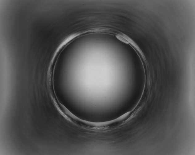 X0000084551053200703021502