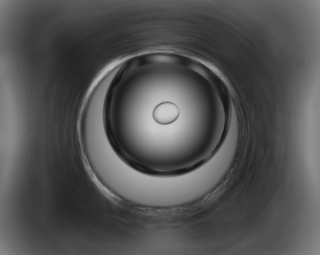X0000084551054200703021502