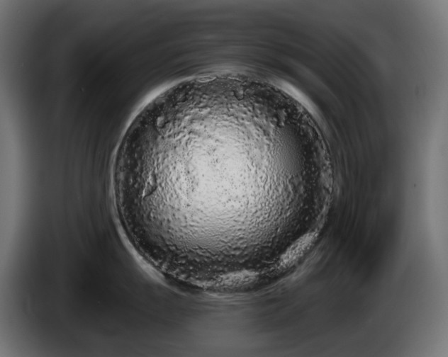 X0000084551055200703021502