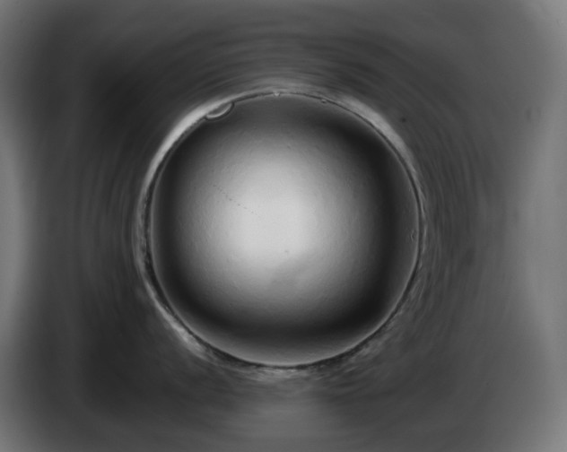 X0000084551056200703021502