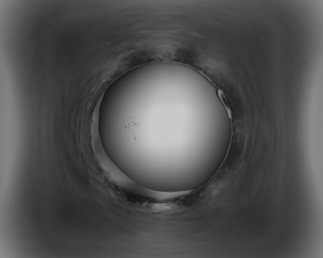 X0000084551057200703021501