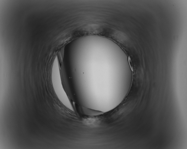 X0000084551058200703021501