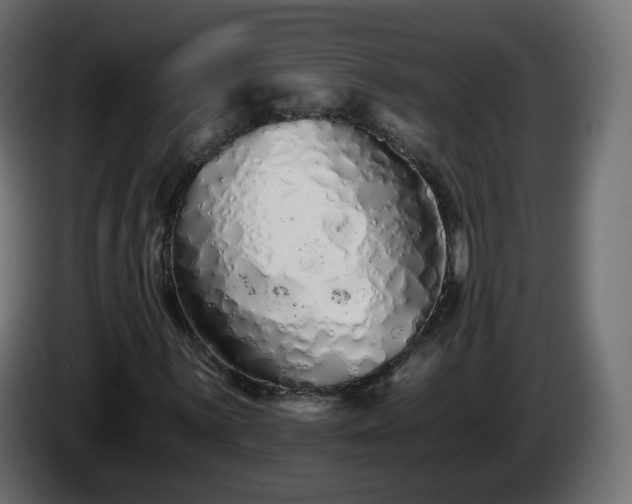 X0000084551059200703021501