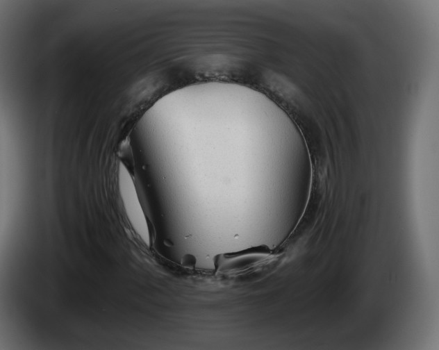 X0000084551060200703021501