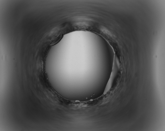 X0000084551061200703021501