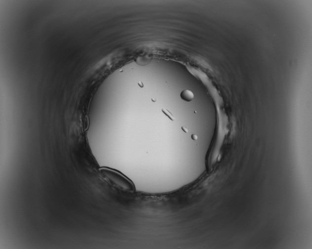 X0000084551062200703021501