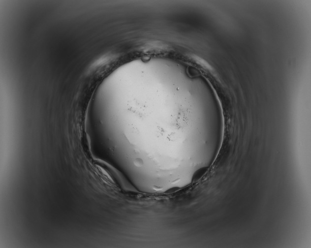 X0000084551063200703021501