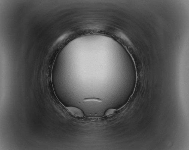 X0000084551064200703021501