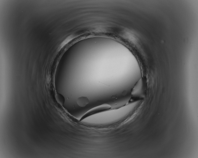 X0000084551065200703021501