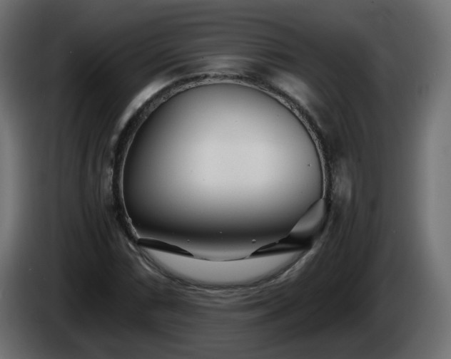 X0000084551066200703021501