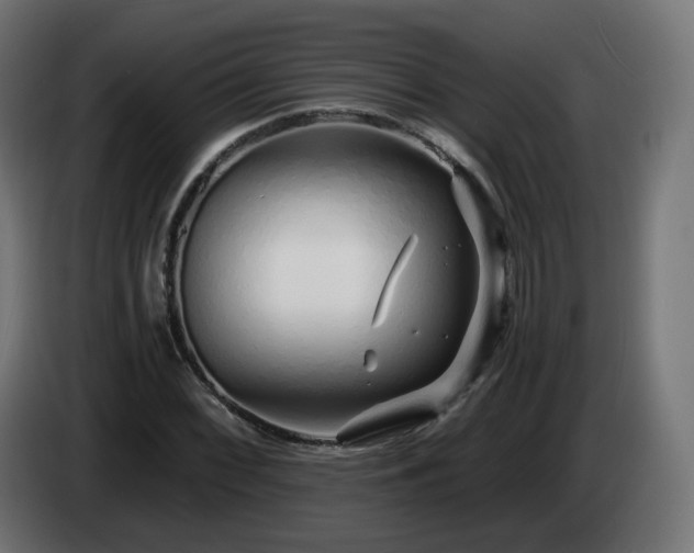 X0000084551068200703021501
