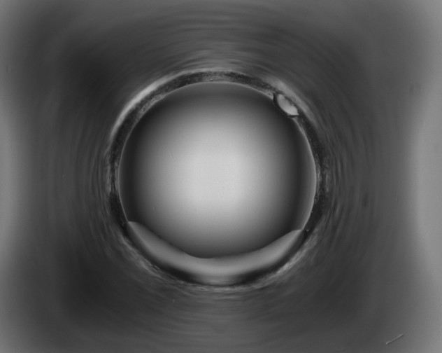 X0000084551069200703021501