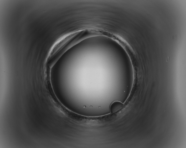 X0000084551070200703021501