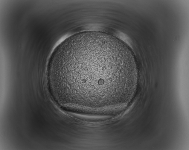 X0000084551071200703021501